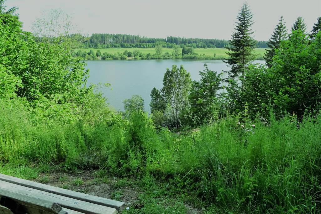 Bräunlingen Modernes Apartment Mit Traumhaftem Blick Ins Gruene מראה חיצוני תמונה